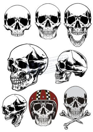 Kull, Đầu Lâu, Vector Đầu Lâu (28)