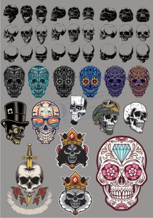 Kull Tattoo, Vector Đầu Lâu
