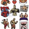 MMA, Vector Võ Sĩ MMA 1