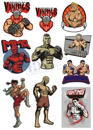 MMA, Vector Võ Sĩ MMA 1