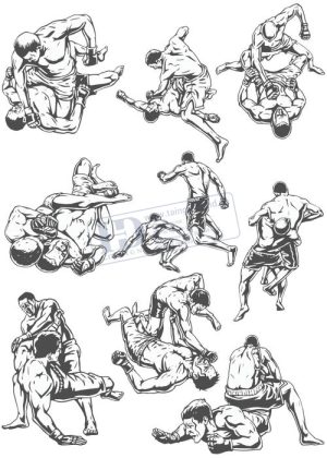 MMA, Vector Võ Sĩ MMA 2