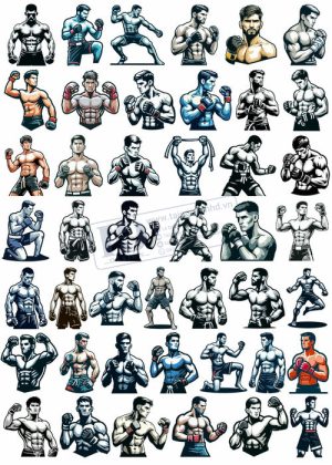 MMA, Vector Võ Sĩ MMA