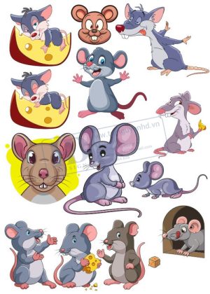 Mouse, Con Chuột, Vector Con Chuột  14