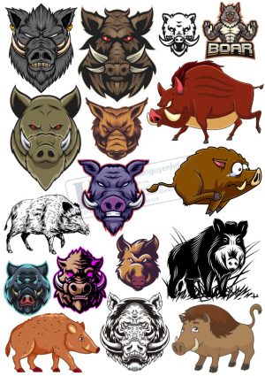 Pig, Con Lợn, Vector Con Lợn (1)