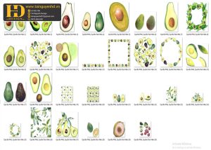 Quả Bơ PNG, Quả Bơ Tách Nền (1)