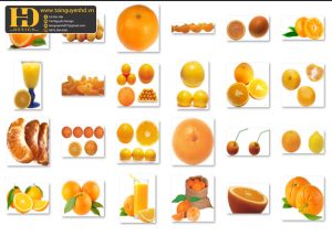 Quả Cam PNG, Orange PNG 1