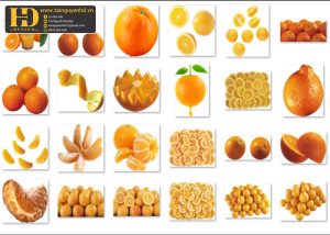 Quả Cam PNG, Orange PNG 2