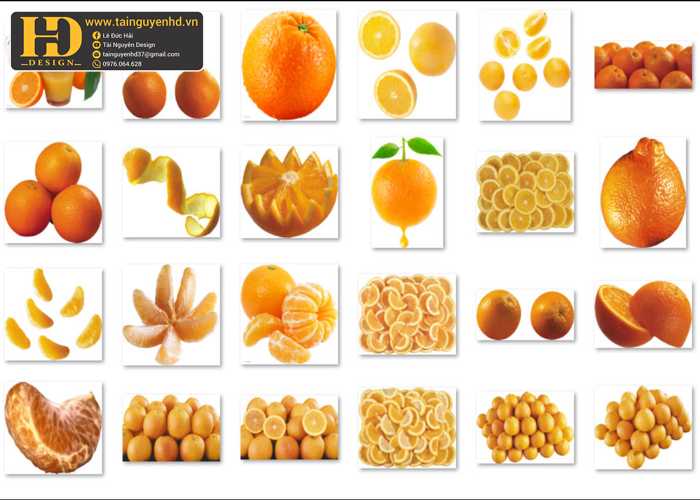 Quả Cam PNG, Orange PNG 2