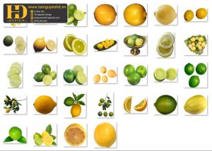 Quả Chanh Tách Nền, Lemon PNG 1