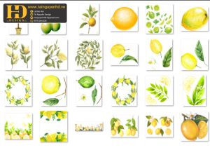Quả Chanh Tách Nền, Lemon PNG 4
