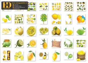 Quả Chanh Tách Nền, Lemon PNG 6