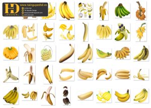 Quả Chuối Tách Nền, Banana PNG