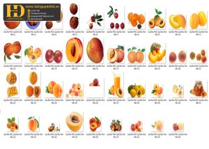 Quả Đào PNG, Quả Đào Tách Nền (2)