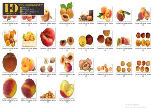 Quả Đào PNG, Quả Đào Tách Nền (3)