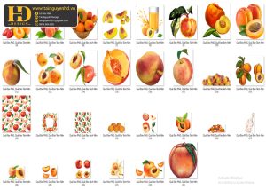 Quả Đào PNG, Quả Đào Tách Nền (4)