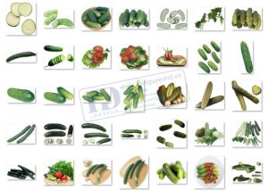 Quả Dưa Chuột PNG 1