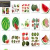 Quả Dưa Hấu Tách Nền
