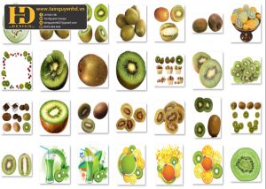 Quả Kiwi, Hoa Quả PNG 1