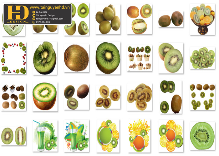 Quả Kiwi, Hoa Quả PNG 1