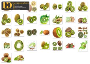 Quả Kiwi, Hoa Quả PNG 2