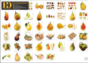 Quả Lê, Hoa Quả PNG 1