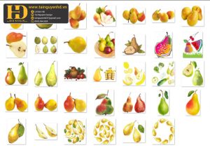Quả Lê, Hoa Quả PNG 3