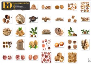Quả Óc Chó, Ngũ Cốc PNG
