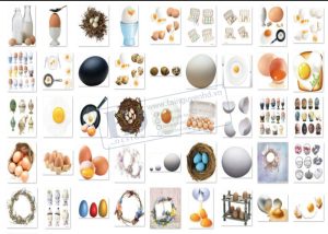 Quả Trứng, Trứng Gà, Trứng Vịt PNG 2