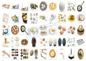 Quả Trứng, Trứng Gà, Trứng Vịt PNG 4