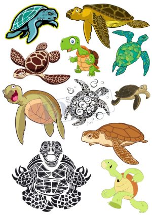 Rùa Biển, Vector Con Rùa (3)