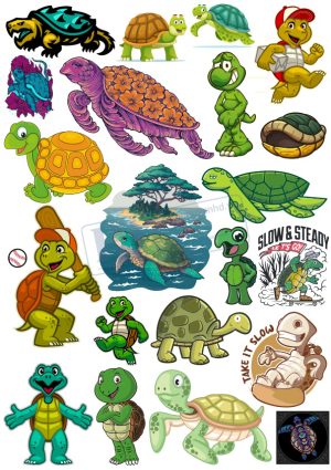 Rùa Biển, Vector Con Rùa (4)