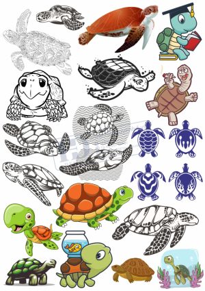 Rùa Biển, Vector Con Rùa (5)