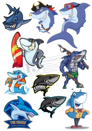 Shark, Con Cá Mập