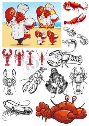 Shrimp, Con Tôm, Vector Hải Sản 1