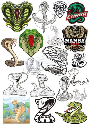 Snake, Con Rắn, Vector Con Rắn (4)