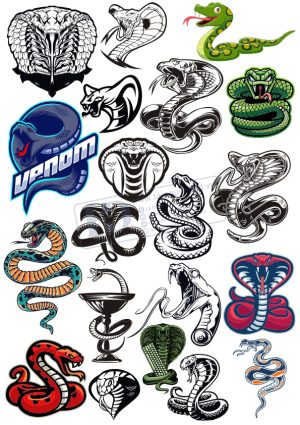Snake, Con Rắn, Vector Con Rắn (5)