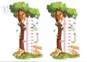 Thước Đo Chiều Cao Cho Trẻ Em