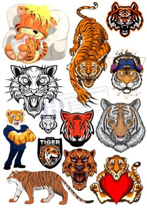 Tiger, Con Hổ, Vector Con Hổ (13)