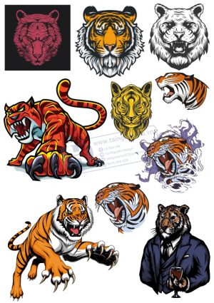 Tiger, Con Hổ, Vector Con Hổ (17)