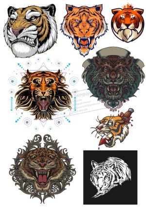 Tiger, Con Hổ, Vector Con Hổ (19)