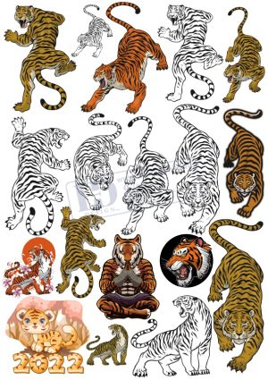 Tiger, Con Hổ, Vector Con Hổ (22)