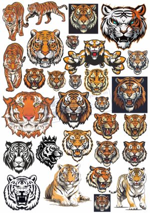 Tiger, Con Hổ, Vector Con Hổ (23)