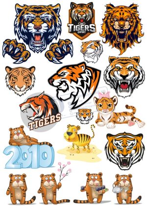 Tiger, Con Hổ, Vector Con Hổ (26)