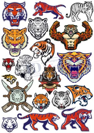 Tiger, Con Hổ, Vector Con Hổ (29)