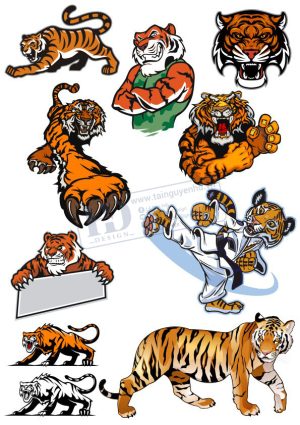Tiger, Con Hổ, Vector Con Hổ (30)