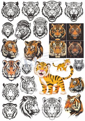 Tiger, Con Hổ, Vector Con Hổ (7)
