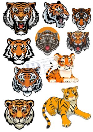 Tiger, Vector Con Hổ