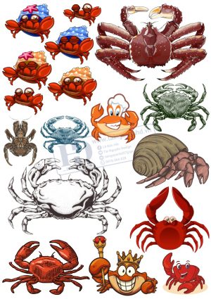 Tôm Cua, Vector Hải Sản (1)