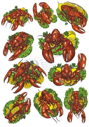 Tôm Cua, Vector Hải Sản (2)