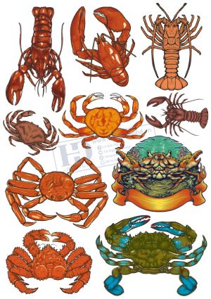 Tôm Cua, Vector Hải Sản (3)